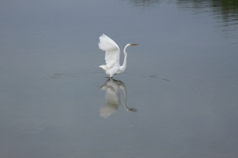 2012 05 14 2534
